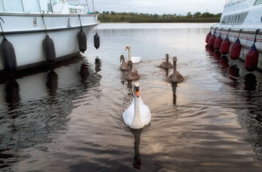 Kuğu kruvazör River Shannon, İrlanda üzerinde arasında