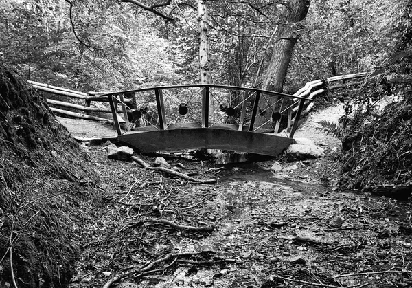 Bridge over Stream, Stormont, Co. Donegal, Ireland — Stock Photo, Image