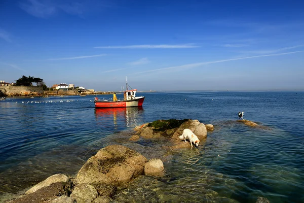 Fishing boat passes rocks — Stock Photo, Image