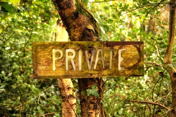 Wooden sign on tree — Stock Photo, Image