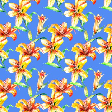 Lily yaz bahçesinde