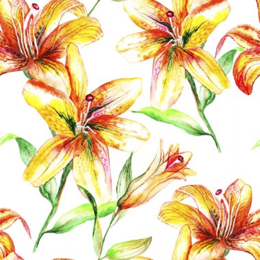 Lily yaz bahçesinde