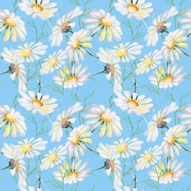 vahşi çiçek papatya