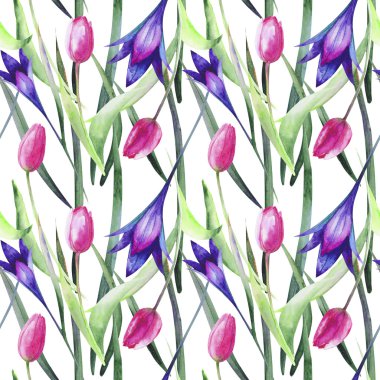 yabani mavi çiçekler.