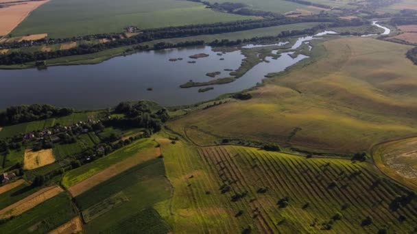 Filmagem Aérea Campo Feno Campo Trigo Bonito Drone Paisagem Dinâmica — Vídeo de Stock