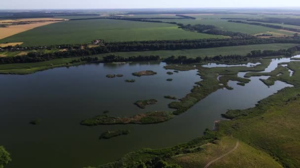 Filmagem Aérea Campo Feno Campo Trigo Bonito Drone Paisagem Dinâmica — Vídeo de Stock