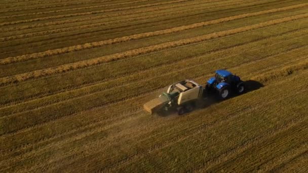 Traktor Sammelt Heu Auf Dem Feld Ein Traktor Nutzt Eine — Stockvideo