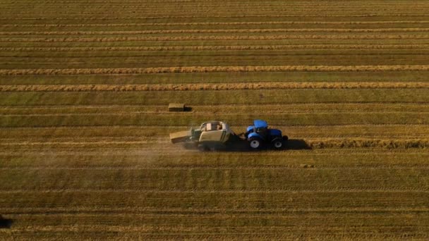 Traktor Grupperar Ute Fältet Traktor Använder Bogserad Balmaskin För Att — Stockvideo