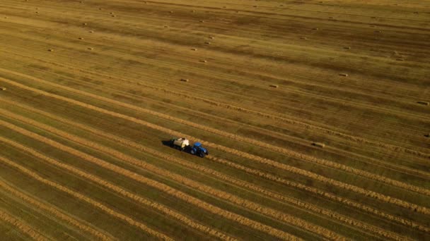 Traktor Sammelt Heu Auf Dem Feld Ein Traktor Nutzt Eine — Stockvideo