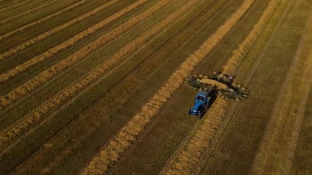 Traktor Grupperar Ute Fältet Traktor Använder Bogserad Balmaskin För Att — Stockvideo