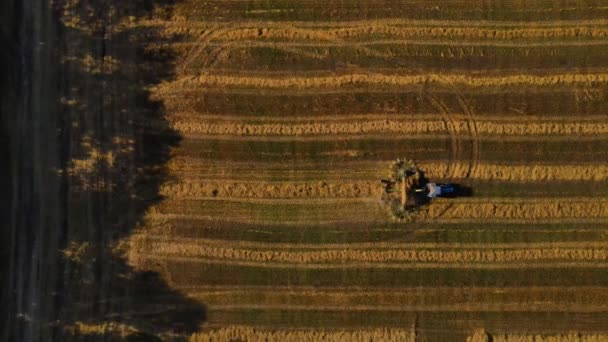 Traktor Sammelt Heu Auf Dem Feld Ein Traktor Nutzt Eine — Stockvideo