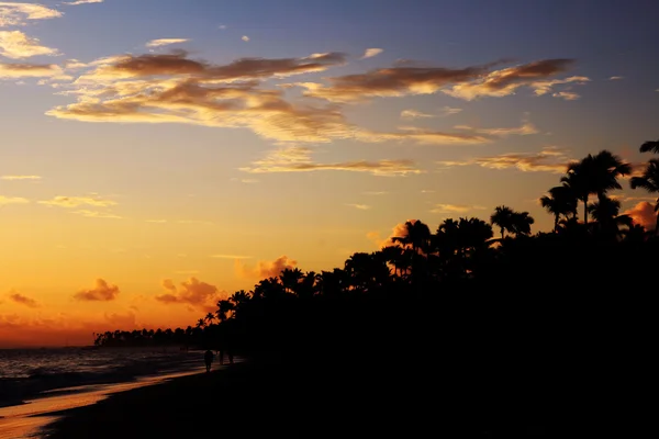 Beautiful golden sunset — Stock Photo, Image