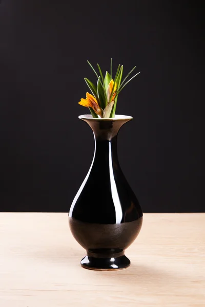 Flores de primavera em vaso — Fotografia de Stock