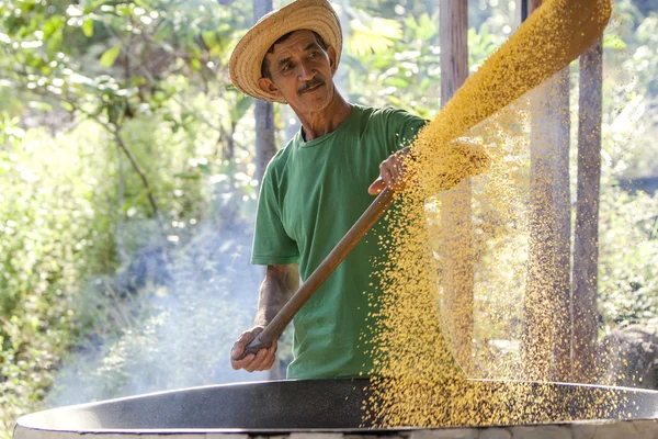 Brasilianska jordbrukare som arbetar — Stockfoto