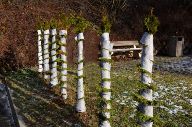 by wrapping and tying conifers, the twigs will be protected from heavy snow that can break or bend the tree. white cloth or string spirally wrapped whole. clipart