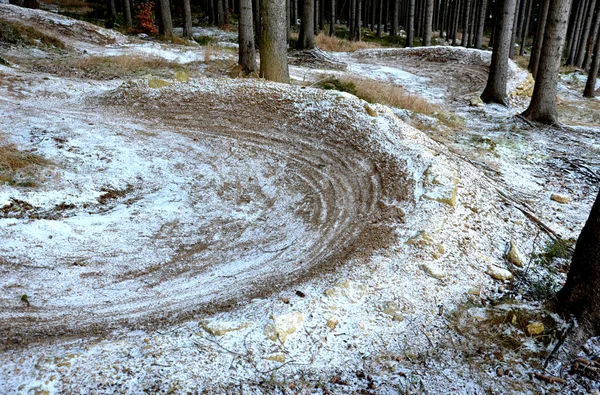 Grandes Curvas Caminho Estreito Único Caminho Entre Árvores Floresta Caminho — Fotografia de Stock