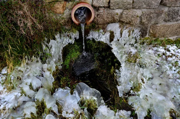the water sprayed from the pipe overflow freezes on the grass stalks and is constantly increasing. frozen drops of water similar to icicle or stalagmite, drainage or spring. granite block wall