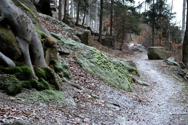 Exploitation Forestière Granit Directement Dans Forêt Sur Rocher Solitaire Dans — Photo
