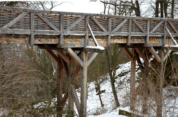 Średniowieczne Drewno Dębowe Przykręcone Most Nad Fosą Zbudowany Według Modelu — Zdjęcie stockowe