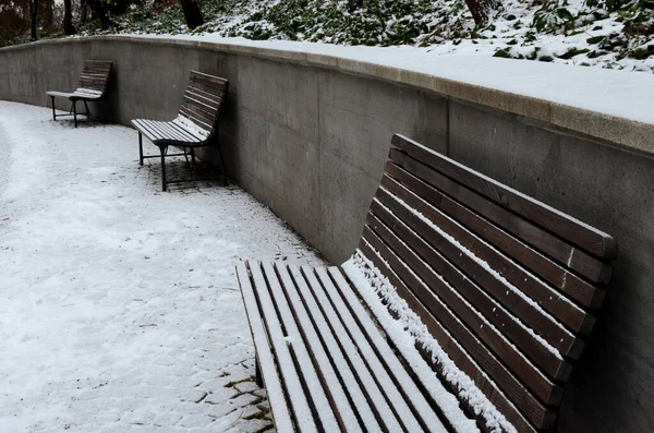 snowy benches near the supporting concrete gray wall in the park. Paving and metal low fences protect ornamental flower beds from dog urine
