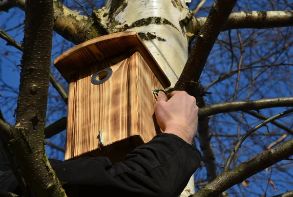 Installation Inspection Birdhouses Trees Spring Nesting Man Overall Fitter Takes — Stock Photo, Image