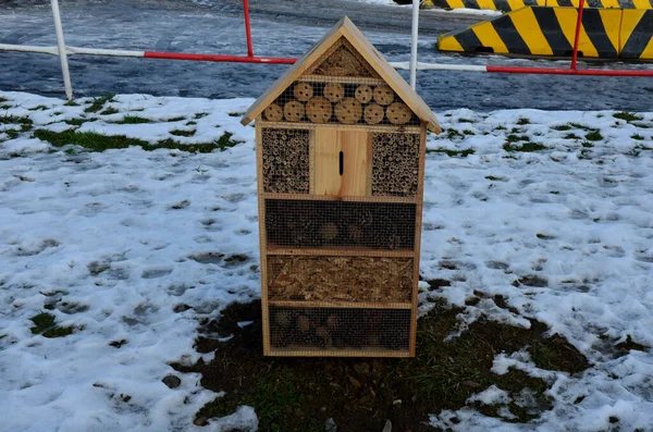 Rumah Untuk Serangga Hotel Untuk Lebah Soliter Kumbang Menarik Dan — Stok Foto