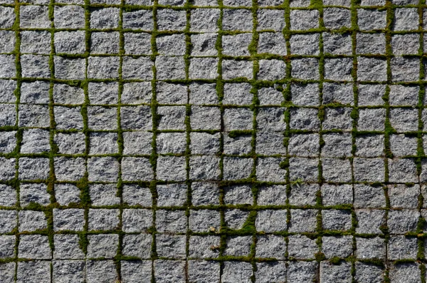 Pflastern Von Würfeln Einem Regelmäßigen Raster Quadratischen Muster Grauer Granitweg — Stockfoto