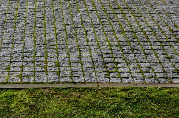 Küplerin Kare Şeklinde Asfaltlanması Aşırı Büyümüş Eklemli Yosunlu Çimlere Bağlı — Stok fotoğraf