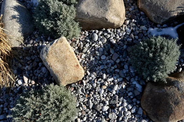 Zierblumenbeet Mit Mehrjährigen Kiefern Und Grauen Granitsteinen Gemulchte Rinde Und — Stockfoto