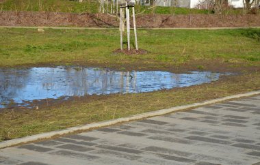 Parktaki su dolu toprak, bahar yağmurundan su almıyor. Yetersiz infaz edilmiş drenaj ya da çatlak otomatik sulama boru hattı bir sel yaratmış, yol kenarında bir trafik kazası.