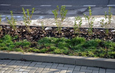 Bisiklet parkında parlayan bükülmüş tüplerden yapılmış bisiklet tezgahları var. Bisikleti meydana yerleştirmek ve kilitlemek için. Birbirine kenetlenmiş asfalt ve çizgili granit küpler. kırmızı, gri