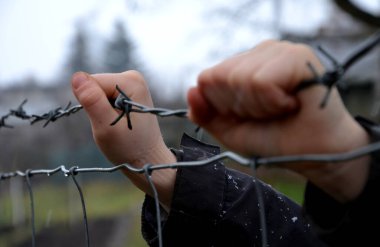 child in a refugee camp behind a wire fence in winter rainy day. holding barbed wire with small hands. knitted gloves white fingers. awaiting release, fence repair in cattle farm, small boy, cold clipart