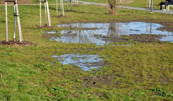 the waterlogged soil in the park does not receive water from the spring rain. poorly executed drainage or cracked automatic irrigation pipeline created a flood, a road accident near the road