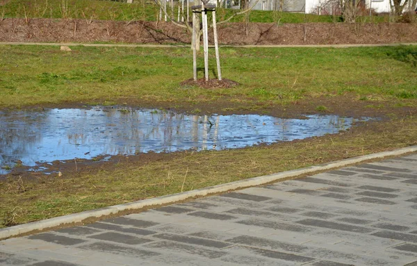 공원의 토양은 봄비로부터 않는다 처리되지 시설이 관개수로는 홍수를 일으켰으며 근처에서 — 스톡 사진