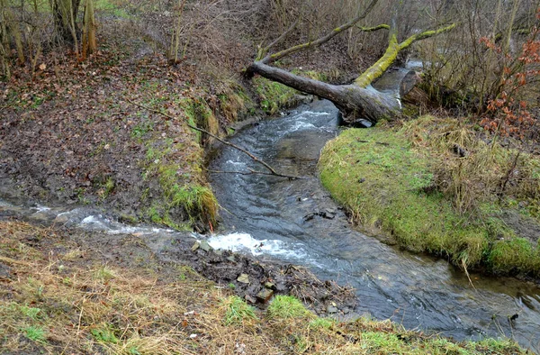 Der Überflutete Bach Führte Ein Schmales Flussbett Das Wasser Schnell — Stockfoto