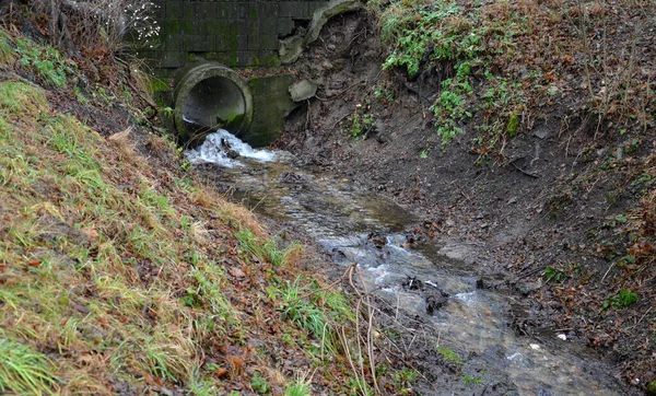 Затоплений Струмок Призвів Вузького Русла Вода Стікає Швидко Вигини Повинні — стокове фото