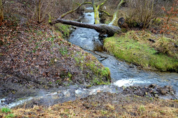Zalany Strumień Doprowadził Wąskiego Koryta Rzeki Gdzie Woda Szybko Spływa — Zdjęcie stockowe