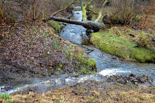 Затоплений Струмок Призвів Вузького Русла Вода Стікає Швидко Вигини Повинні — стокове фото