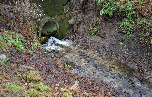 Затопленный Поток Привел Узкому Руслу Реки Вода Быстро Стекает Изгибы — стоковое фото