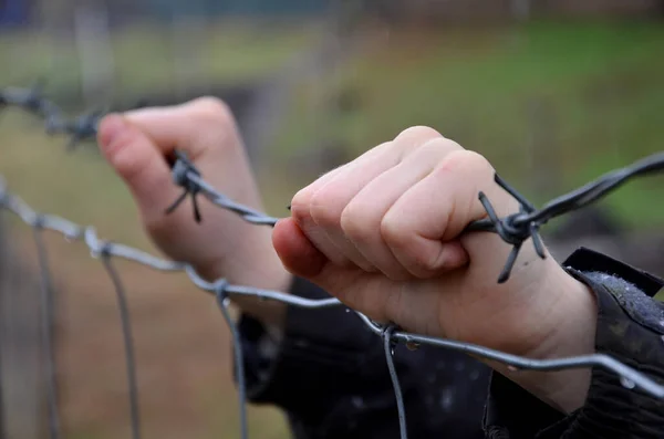 Child Refugee Camp Wire Fence Winter Rainy Day Holding Barbed — Stock Photo, Image