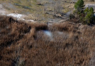 Kireç taşı ocağının dibi taş labirentler, amfibiler için göletler ve sazlıklar olan bir vaha ve ağaçlar ve korunan bitkiler tarafından sömürgeleştirilmek için bir yer haline gelebilir.
