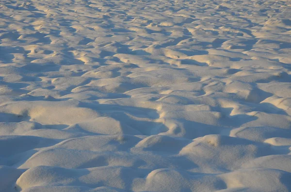 walking in the frozen sun-drenched landscape means walking on the paths and not disturbing the animals in nature because they do not have the strength to run from people. alley, field, covered with sn