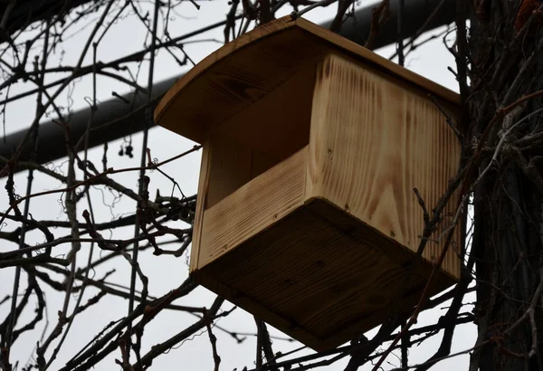 在树上安装和检查鸟舍 供春季筑巢之用 一个身强体壮的男人带着鸟类学家爬上梯子 并把一个嵌套在盒子里的奶鼠固定在上面 库存照片 — 图库照片