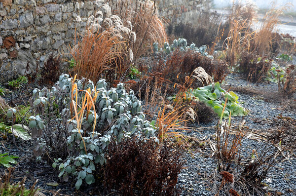 Perennial bed mulched with gray gravel in front of a limestone stone wall in a square with benches with wood paneling, beige path made of natural beige compacted crushed stone, park, urban garden stock photo