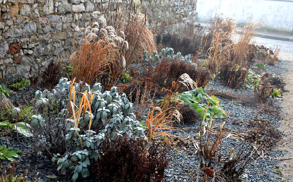 Perennial bed mulched with gray gravel in front of a limestone stone wall in a square with benches with wood paneling, beige path made of natural beige compacted crushed stone, park, urban garden stock photo