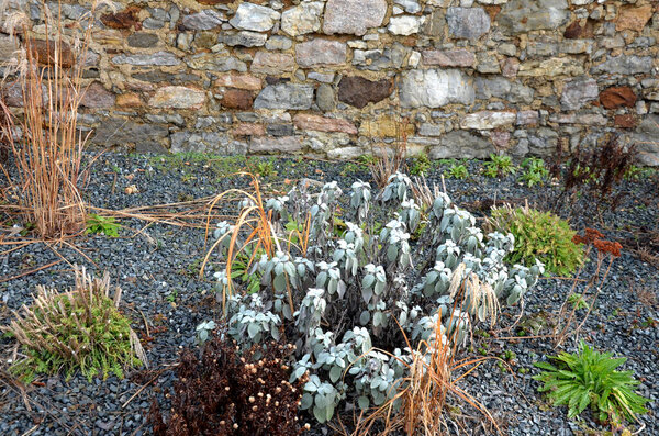 Perennial bed mulched with gray gravel in front of a limestone stone wall in a square with benches with wood paneling, beige path made of natural beige compacted crushed stone, park, urban garden stock photo
