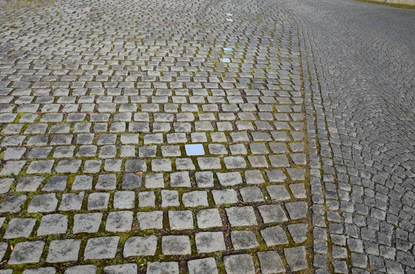 Betonové Bílé Lavice Parku Tvar Bloku Náměstí Čistý Hladký Povrch — Stock fotografie