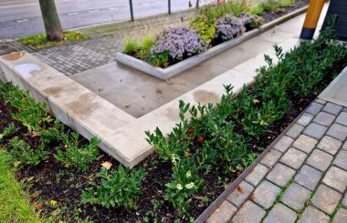 Tekerlekli sandalye kullanıcıları için beton rampa beton kenarlı yükseltilmiş bir yatağın parçası. Tekerlekli sandalyeli engelliler için erişim hakkı. Ofis ya da spa binası çevresi. Ana giriş