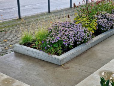 Tekerlekli sandalye kullanıcıları için beton rampa beton kenarlı yükseltilmiş bir yatağın parçası. Tekerlekli sandalyeli engelliler için erişim hakkı. Ofis ya da spa binası çevresi. Ana giriş