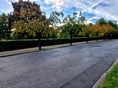 5-10 metreye kadar büyür ve yoğun huni şeklinde bir taç oluşturur. Sonbaharda, turuncu ve sarı tonlarda renklendirilirler. Yapraklardan önce, Nisan 'da pembe çiçeklerle çiçek açar.